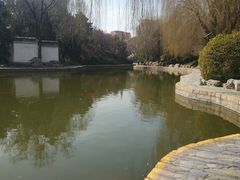 -团结湖公园