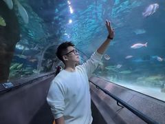 -大连圣亚海洋世界