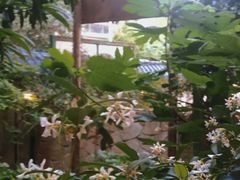 -宝翠花园餐厅(沙湖店)
