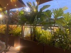 -盐说·西式餐酒馆(光明万达店)