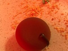 巧克力蛋糕-纽约咖啡馆