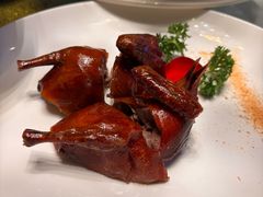 -中国坊中餐厅(石家庄希尔顿酒店)