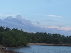 -宝安西湾红树林湿地公园