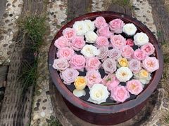 -悦哉·派对·草坪婚礼·围炉煮茶(三圣乡店)