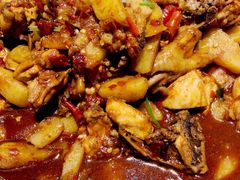 -农夫大盘鸡(经八路总店)