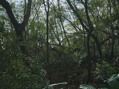 -涠洲岛火山国家地质公园