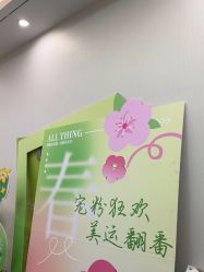 -凡碧诗毛孔清洁收细