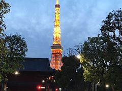 -一兰拉面(新宿中央东口店)