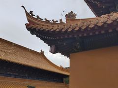 -普陀山风景名胜区-法雨禅寺