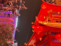 -越秀西湖花市(广州城市广场花卉店)
