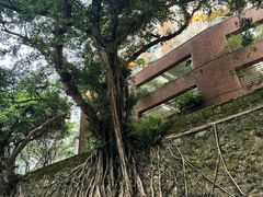 -香港大学