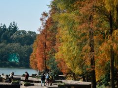 -深圳仙湖植物园