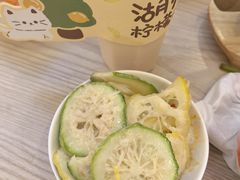 -猫的魔法密林(衣裳街店)