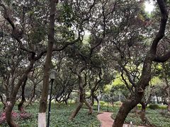 -黄埔荔枝公园