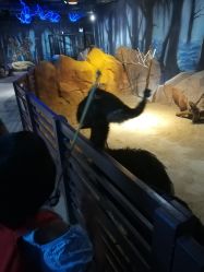 点击看大图 -酷嗒动物文化乐园(cutezoo西溪乐天城店)