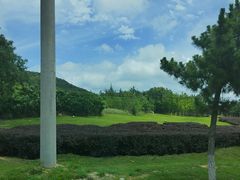 -养马岛旅游度假区
