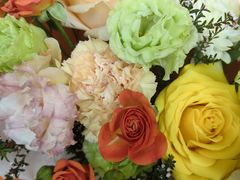 -ChaKo Flora ·茶子花艺 (市北店)