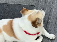 -海曙西区老大房(孝闻街店)