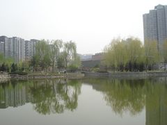 -望湖公园