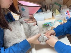 -谐和贝康宠物医院24小时·宠保定点(急重症转诊中心)