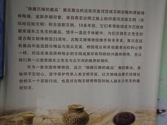 -古陶文明博物馆