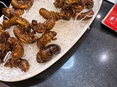 -晓波烧烤(南桥店)