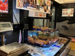 -蟹道乐(道顿堀本店)