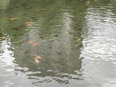 -柳侯公园