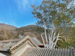 -潭柘寺景区