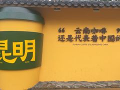 -翠湖公园