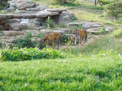 -北京野生动物园