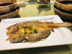 香煎黄花鱼-老廣食堂(区庄店)