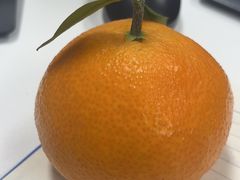 -马叉虫和妖且闲·长沙大排档(解放西店)