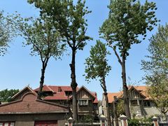 -天津五大道文化旅游区