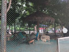 -陕西自然博物馆