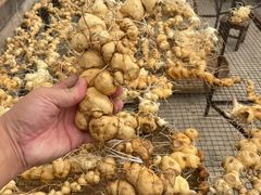 -杭州半山国家森林公园