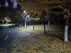 -长白岛森林公园