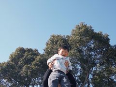 -阳澄湖半岛旅游度假区