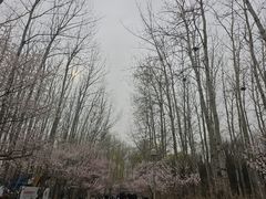 -黑土印象菜馆(三元桥店)