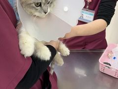 -美联众合动物医院·24h京西诊疗中心