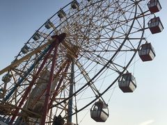 -巨鹏飞梦幻海岸