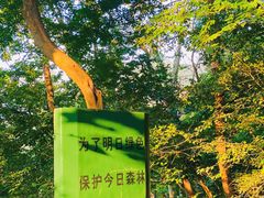 -紫金山山顶公园