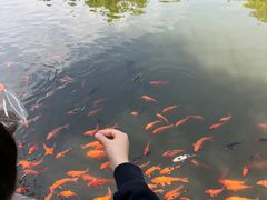 -天目湖山水园