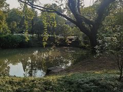 -杭州植物园