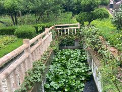 -烟台山景区