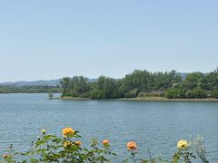 -三岔湖高家庄农家乐烤全羊柴火鸡翘壳鱼(三岔湖店)