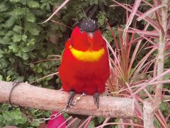 -南宫五洲植物乐园