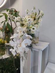 -城市花园婚纱摄影