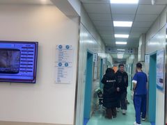 -北京观赏动物医院·24小时大型综合·猫专科·异宠专科
