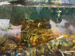 -宝燕壹号(徐汇店)